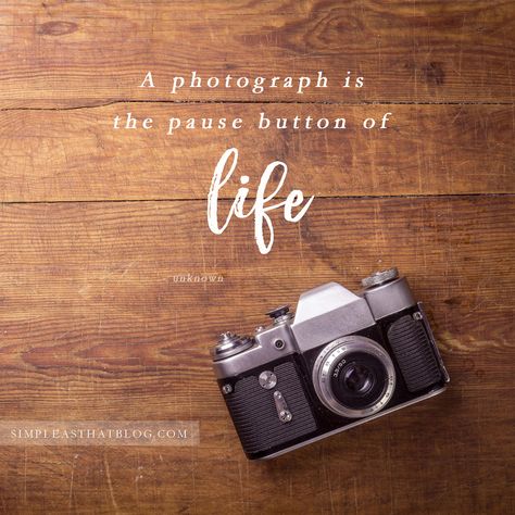 12 Quotes to Inspire your Photography Journey // A photograph is the pause button of life. - unknown Photography Inspiration Quotes, Words Photography, Camera Quotes, Photographer Quotes, Patience Quotes, Pause Button, Inspirerende Ord, The Pause, Photography Quotes