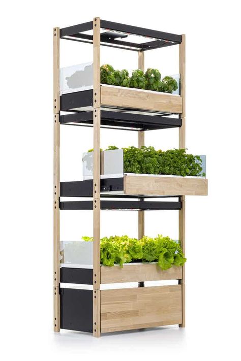 Indoor Hydroponic Gardening, Indoor Hydroponics, Indoor Farming, Hydroponic Farming, Aquaponic Gardening, Vertical Farming, Condo Interior, Deco Nature, Smart Garden