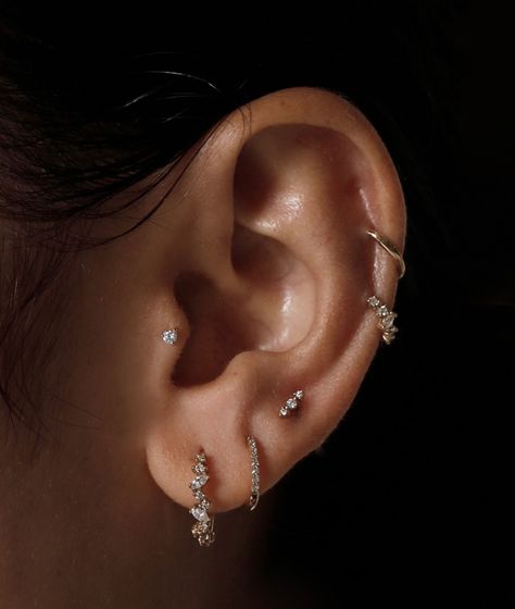 Ear Piercings And Tattoos, 3 Piercing Ideas, Small Ear Piercings Ideas Classy, Ear Piercing Designs Classy, Piercing Styling Ideas, Sarah And Sebastian Earrings, Lots Of Earrings On Ear, Ear Piercing Ideas Studs, Balanced Ear Piercings