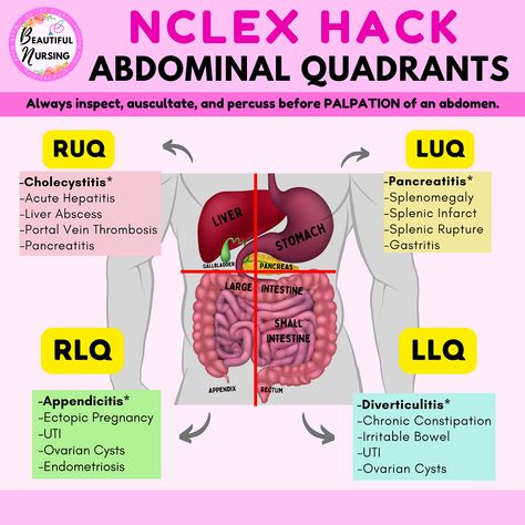 Abdominal Quadrants And Organs, Bowel Sounds Assessment, Abdominal Assessment Nursing, Abdominal Quadrants, Nursing School Studying Cheat Sheets, Quadrants Of The Abdomen, Nclex Tips, Nursing School Life, Nurse Skills