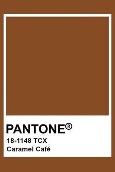 Brown Pantone, Pantone Tcx, Pantone Palette, Pantone Colour Palettes, Best Paint Colors, Typography Poster Design, Color Inspo, Colour Board, Color Pallets