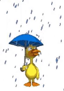 Rainy Day Images, Rihanna Lyrics, Good Morning Rainy Day, Rainy Day Quotes, Rain Gif, Book Photos, Animated Emoticons, I Love Rain, Umbrella Art