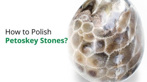 Polishing Rocks, Rock Polishing, Tumbled Rocks, How To Polish Rocks, Petosky Stone, Pudding Stone, Lake Michigan Stones, Michigan Rocks, Rock Collecting