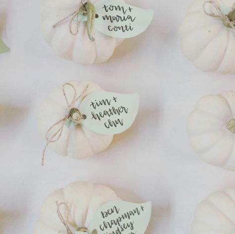 Fall Seating Chart, White Pumpkins Wedding, Leaf Calligraphy, Seating Chart For Wedding, Pumpkin Wedding, Napa Wedding, Seating Cards, Moody Wedding, Seating Chart Wedding