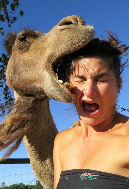 10 Selfies Gone Terribly Wrong Selfie Fail, Sneak Attack, Behind Blue Eyes, Photo Fails, Perfectly Timed Photos, Photo Images, Animal Photo, Om Nom, Bones Funny