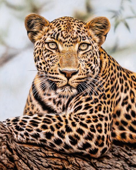 Marco Grasso | My most recent leopard painting! What do you think? Acrylic on canvas, 32x24 inches 🎨 #Art #artist #hyperrealism #acrylicart #painting… | Instagram Leopard Painting Acrylic, Painting Instagram, Leopard Painting, Hyperrealism, Acrylic Art, Painting Acrylic, Acrylic On Canvas, Art Artist, You Think