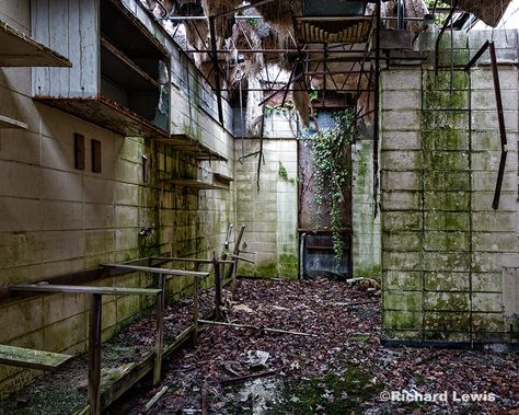 Concrete And Glass Architecture, Abandoned Laboratory, Richard Lewis, Main Entrance, Concrete Decor, Reception Areas, Modern Buildings, Bad Timing, Sci Fi Fantasy