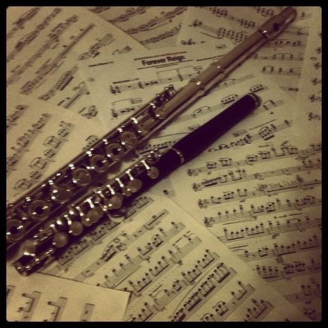 My favorite things; my concert flute, concert piccolo, and church music :) Piccolo Flute Aesthetic, Piccolo Aesthetic, Flute Aesthetic, Instruments Aesthetic, Piccolo Flute, Swim Aesthetic, Flute Player, Music Vibes, Church Music