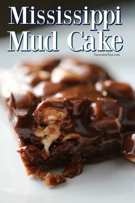 Mississippi Mud Cake With Box Cake, Mississippi Cake, Mud Recipe, Mud Brownies, Mud Cake Recipe, Southern Cakes, Mississippi Mud Cake, Chocolate Lava Cake Recipe, Mud Cake Recipes