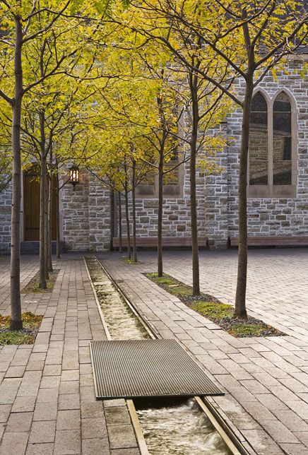 ShowCase: Westminster Presbyterian Church: Urban Columbarium and Courtyards | Features | Archinect Villa Architecture, Courtyard Landscaping, Easy Landscaping, Presbyterian Church, Road Design, Landscaping Supplies, Landscaping Tips, Landscape Projects, Desert Landscaping