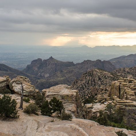 The Mount Lemmon Scenic Byway, also called the Catalina Highway or the Sky Islands Scenic Byway, originates at the northeast edge of Tucson and climbs 27 miles to the heights of the 9,157-foot Mount Lemmon. From bottom to top, more than 6,000 feet of ascent makes traveling this highway the equivalent of traveling from the Sonoran desert up to the Canadian conifer forest and Things To Do In Az, Sky Islands, Mount Lemmon, Conifer Forest, Seven Falls, Arizona Adventure, Mountain Park, Scenic Byway, Sonoran Desert