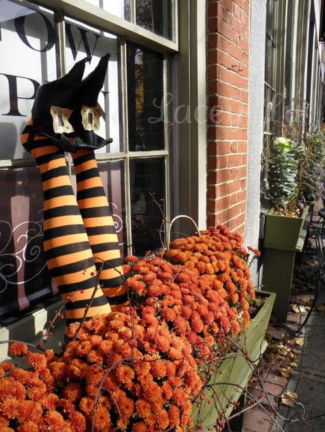 15+ Best Window Box Decorating Ideas For This Fall and Halloween 2019 Outdoor Witch, Fall Window Boxes, Fall Windows, Boxes Ideas, Casa Halloween, Witch Legs, Window Box Flowers, Halloween Flowers, Halloween Window