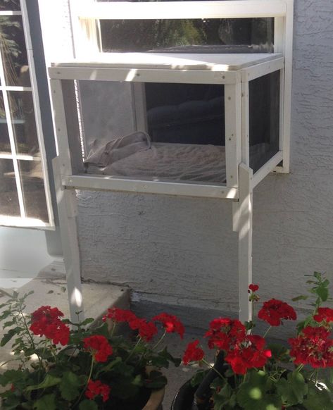 Instructions for CATIO 100 THE BALCONY to build your own | Etsy Window Box For Cats, Cat Window Perch Outdoor, Cat Patio Apartment, Outside Cat Enclosure Diy Window, Cat Window Box Diy, Diy Cat Patio, Diy Catio Plans Free, Cat Patio Diy, Diy Hidden Litter Box Ideas