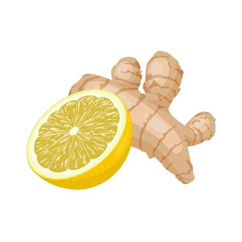 Vector illustration, ginger and lemon, natural medicine, anti-flu ingredients, isolated on white background. Ginger Illustration Design, Ginger Illustration, Ginger And Lemon, Ginger Shot, Level 5, Design Posters, Business Model, Natural Medicine, Package Design