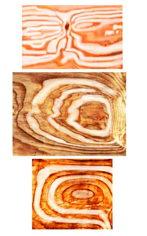 #DIY #plywood art :) #PureBond Wood Grain Art Ideas, Plywood Art Painted, Paint On Plywood Art, Diy Woodgrain Painting, Painting Folds, Diy Plywood Art, Painting On Plywood, Plywood Art, Different Eyes