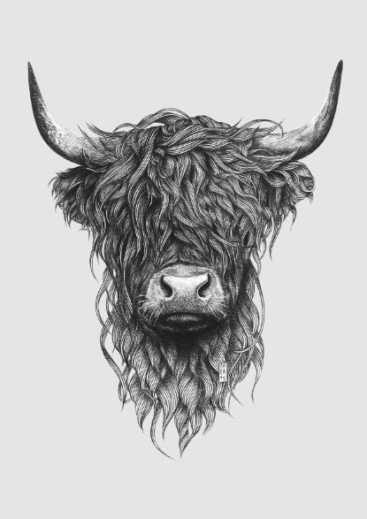 Highland Cow Tattoo, Taurus Constellation Tattoo, Cow Tattoo, Cow Art Print, Highland Cow Art, Cow Drawing, Indian Tapestry, Highland Cattle, Cow Art