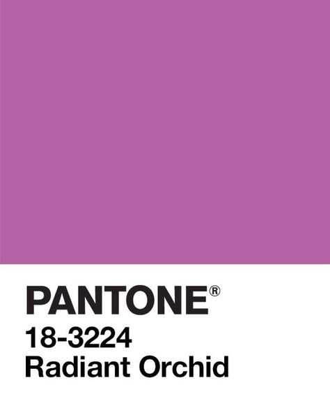 PANTONE Color of the Year 2014: Radiant Orchid Colour Shades, Aesthetic Color, Pantone Color Of The Year, Whoop Whoop, Orchid Color, Radiant Orchid, Color Story, Door Color, Aesthetic Colors