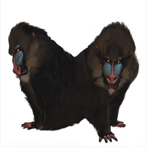 Mandrill Drawing, Mandrill Art, Ape Art, Baboon Art, Baboon Character Design, Baboon Illustration, Monkey Concept Art, Monkey Monster, Monkey Warrior Character Design