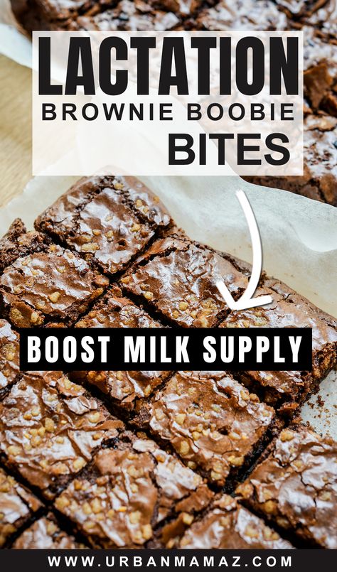 If you’re looking for the best lactation cookies ever, you will love these delicious lactation brownie boobie bites! Thanks to oatmeal, coconut milk, brewer’s yeast, and tasty chocolate chips, we are able to create delicious brownie bites that can also boost our milk supply. Lactation Brownies, Best Lactation Cookies, Milk Supply Foods, Breastfeeding Cookies, Oatmeal Bites, Boost Milk Supply, Breastfeeding Benefits, Brownie In A Mug, Breastfeeding Foods