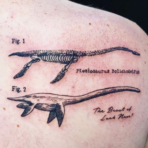 Above The Knee Tattoo Skeleton, Ky Tattoos, Scientific Tattoo, 16 Tattoo, History Tattoos, Dinosaur Tattoos, Funky Tattoos, Tattoo Aesthetic, Human Canvas