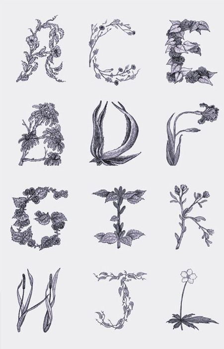 25 Inspirational Typography Projects You Don't Want to Miss Typography With Flowers, Floral Typeface, Flower Font, Historical Fonts, Graphic Score, Victorian Fonts, Old Fashioned Fonts, Flower Typography, Timeless Font