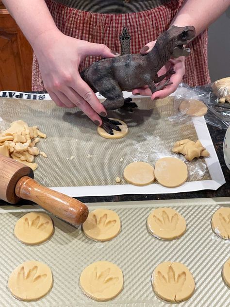 Fossil Cookies, Welcome To Jurassic Park, Dinasour Birthday, Jurassic Park Birthday Party, Dino Dig, Jurassic Park Party, Dinosaur Birthday Theme, Jurassic Park Birthday, Birthday Party At Park