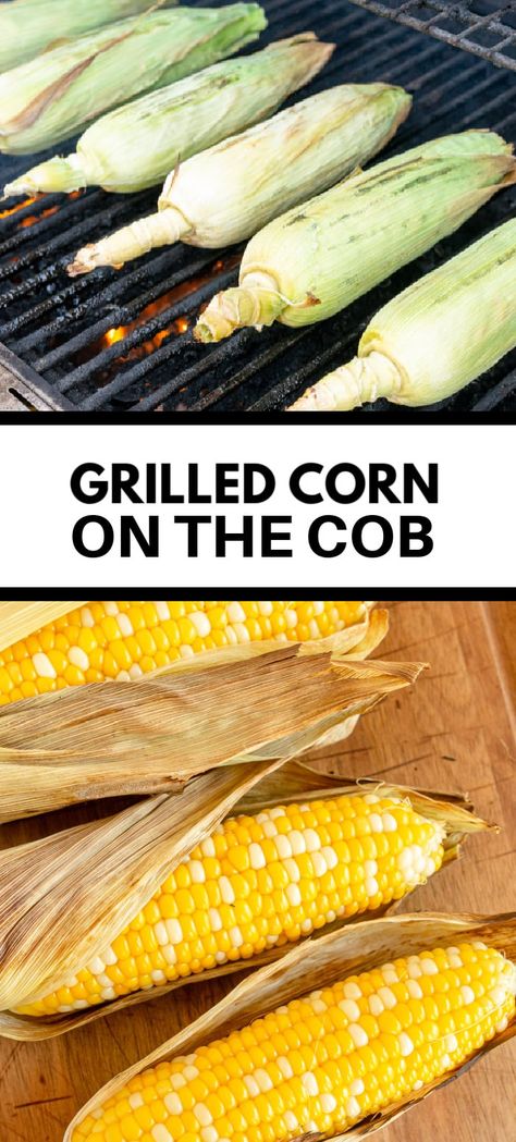 Parrilladas Ideas, Grilled Corn On Cob, How To Grill Corn, Grill Corn On The Cob, Fresh Corn On The Cob, Grill Corn, Grilled Sweet Corn, Bbq Corn, Grilled Kabob Recipes