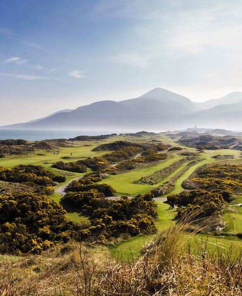 Scotland Golf Courses, Golf In Ireland, Scotland Golf Trip, Golf Scotland, Scotland Golf, Golf With Friends, Scottish Estate, Europe Train Travel, Vision 2024