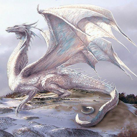 Fantasy Dragon Art, Snow Dragon, Dragon Artwork Fantasy, Dnd Dragons, Beautiful Dragon, Snow Ice, Dragon Pictures, White Dragon, Fantasy Creatures Art