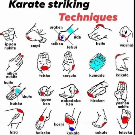 KARATE STRIKING TECHNIQUES 👍🥋 FOLLOW ON YOUTUBE 👉 @KARATESIR FOLLOW ON FACE BOOK 👉 @KARATESIR FOLLOW ON INSTAGRAM 👉 @karatesir786 CONTACT TO BUY KARATE AND MARTIAL ARTS EQUIPMENT 👉 CALL +91 9638486088 NATIONAL AND INTERNATIONAL HOME DELIVERY AVAILABLE 👍 🥋 SUBSCRIBE MY YOU TUBE CHANNEL 👉👉👉 ( KARATE SIR ) MAKE SURE TO FOLLOW 👇 FOLLOW👉 @onlinekarate FOLLOW👉 @karatesir786 FOLLOW👉 @karatesirsweapontraining FOLLOW👉 @karatesirshop FOLLOW👉 @nunchakusshop FOLLOW👉 @arsalanthekaratekid... Karate Training Exercises, Martial Arts Training Equipment, Karate Moves, Karate Dojo, Kids Karate, Martial Arts Equipment, Karate Kick, Karate Training, Kyokushin Karate