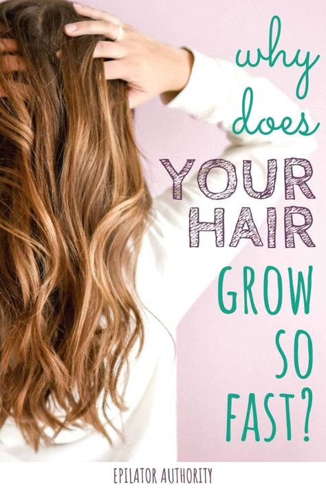 Fast Growing Hair, Speed Hair Growth, Hair Wont Grow, Hair Growth Rate, Slow Hair Growth, Fast Hair Growth, Growing Hair, Make Hair Grow, Breaking Hair