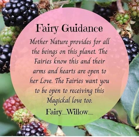 Fairy Spells Witchcraft, Fae Witchcraft, Fae Magick, Fairy Mythology, Fairy Spells, Faerie Aesthetic, Fairy Quotes, Earth Fairy, Magic Land