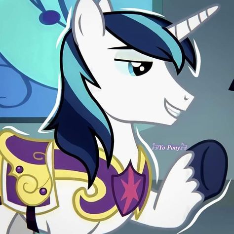 Shining Armor Mlp, My Little Pony Boys, Lyra Heartstrings, Mlp Icons, Knight In Shining Armor, Boy Character, Mlp Pony, Smash Cake, Gremlins