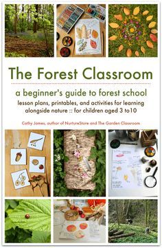 Exploration Activities For Kids, Outdoor Nature Activities, Exploration Activities, Forest Classroom, Forest School Ideas, Nature Learning, Nature Based Learning, Forest Ideas, Nature Club