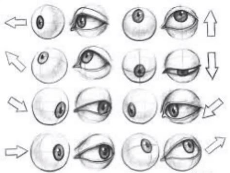 Face From Bottom Angle, Nose At Different Angles, Eye Placement Drawing, Drawing Angles Perspective, Eye Looking Down Drawing, How To Draw Facial Features, Eyes From Different Angles, Art Reference Eyes, How To Sketch Eyes