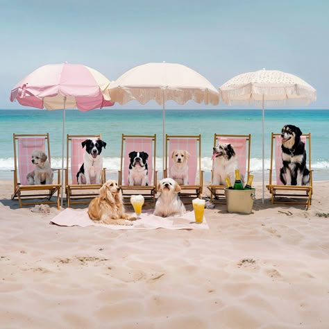 Beach Animals, Dogs Beach, Preppy Dog, Dog Spa, Beach Dog, Dog Hotel, Spring Wall Art, Pretty Beach, Beach House Style