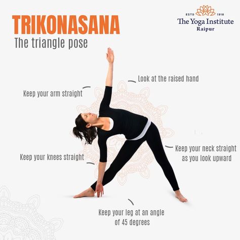 #Trikonasana or (The triangle pose) helps in strengthening the legs, knees, and ankles. Provides full stretch and helps open up the hamstrings, hips, and groin. This yoga pose has a dual advantage -it relieves sciatica pain (lower back pain relief) and eases the pressure from the knees. Helpful pose to get rid of stress as well, here's how to do Trikonasana. #yogapose #yogainspiration #yoga #meditation #positivity #tyispeaks #yogaforall #yogaforgrowth #theyogainstitute #raipur #tyiraipur Trikonasana Pose, Yoga Teaching, Yoga Facts, Triangle Pose, Yoga Illustration, Yoga For All, Surya Namaskar, Yoga Beginners, Daily Yoga Workout