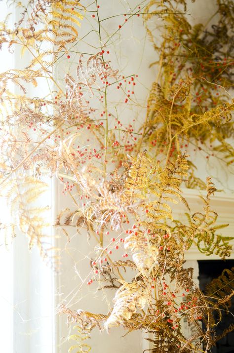 Fern Wedding Decor, Autumn Arrangements, Foliage Wall, Fern Wedding, Autumn Cottage, Asparagus Fern, Autumn Display, Picture Hook, Fall Tablescapes