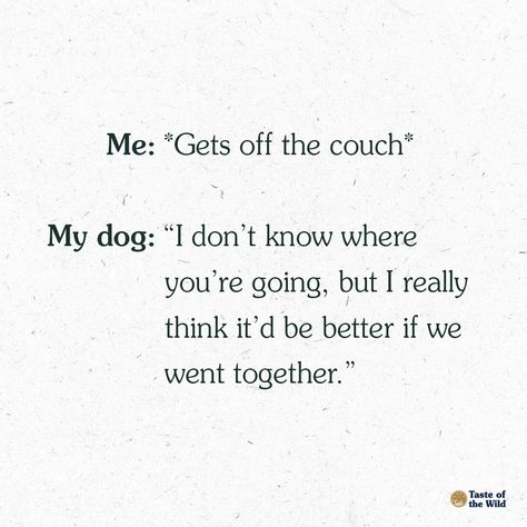 K9 Search And Rescue, Rescue Quotes, Dog Marketing, Meme Dog, Pet Humor, Dog Meme, Dachshund Mom, We Go Together, Veterinary Technician