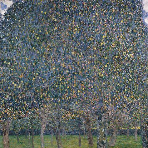 Pear Tree, 1903, Klimt. Klimt Apple Tree, Harvard Art Museum, Pear Trees, Pear Tree, Tree Canvas, Caravaggio, Classical Art, Gustav Klimt, Tree Art