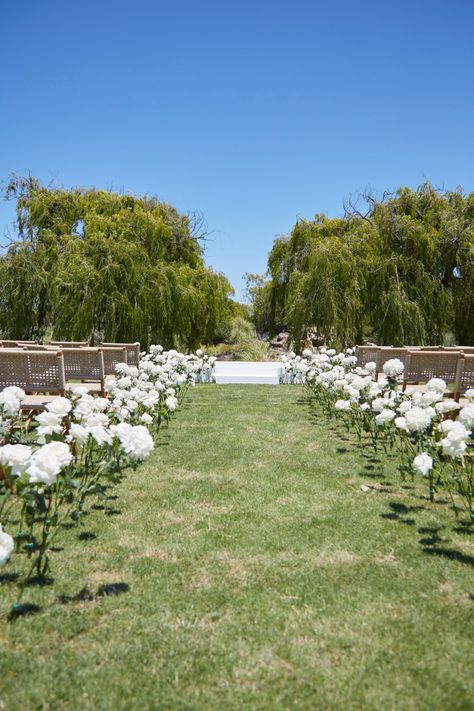 White Roses Down Aisle, Flower Path Wedding, Minimalist Wedding Venue Simple, Ceremony Set Up, Wedding Aisle Arrangements, Wedding Isles Decoration Outdoor, Wedding Aisle Flowers On Ground, Summer Wedding Aisle, Minimalist Outdoor Wedding