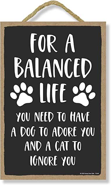 Dog Wall Decor, A Balanced Life, Funny Home Decor, Honey Dew, Dog Crafts, Balanced Life, Pet Signs, Cricut Craft Room, Cat Crafts