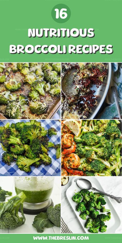 Broccoli recipes transform this healthy vegetable into flavorful and satisfying dishes with ease. Check this collection for ideas that bring excitement to every bite. Best Broccoli Recipe, Healthy Quick Recipes, Healthy Vegetable, Quick Healthy Meals, Broccoli Recipes, Healthy Vegetables, Quick Recipes, Broccoli