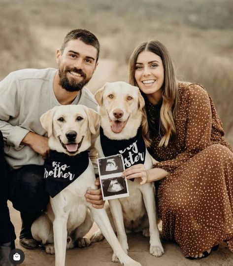 Pet Pregnancy Announcement, Pregnancy Announcement Photography, Pregnancy Announcement Pictures, Dog Baby Announcement, Pregnancy Announcement Family, Sibling Announcement, Pregnancy Announcement Photoshoot, Dog Pregnancy Announcement, Baby Announcement Photoshoot