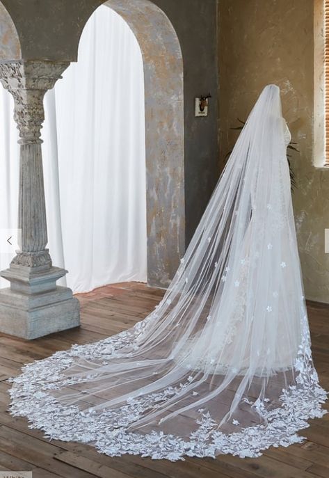 Waltz Wedding Veils, Wedding Dresses With Cathedral Veil, Wedding Veils Cathedral, Long Veil With Blusher, Cathedral Veil With Ball Gown, Spring Wedding Veil, Wedding Vail Ideas Head Pieces, Wedding Hairstyles For Long Hair Veil, All Lace Veil