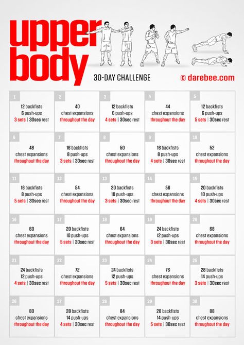 Fitness Challenges 30 Day Arm Challenge, Arm Workout Challenge, Agility Workouts, Arm Challenge, Running Challenge, Fitness Challenges, Month Workout, 30 Day Fitness, Push Up Challenge