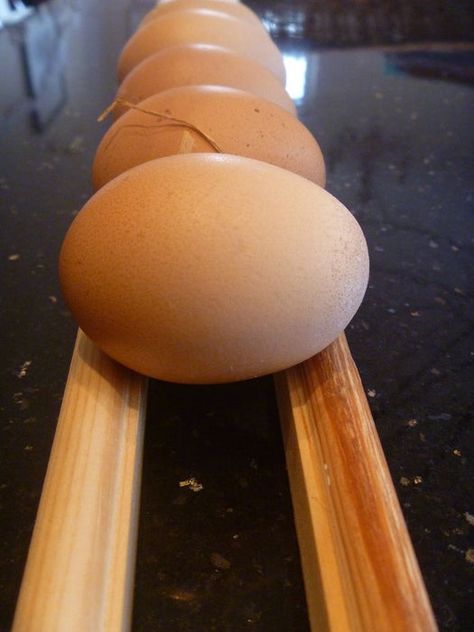 Egg Skelter, Egg Rack, Wood Eggs, Egg Storage, Painted Sticks, Fresh Eggs, Chicken Coop, Storage Rack, The Kitchen