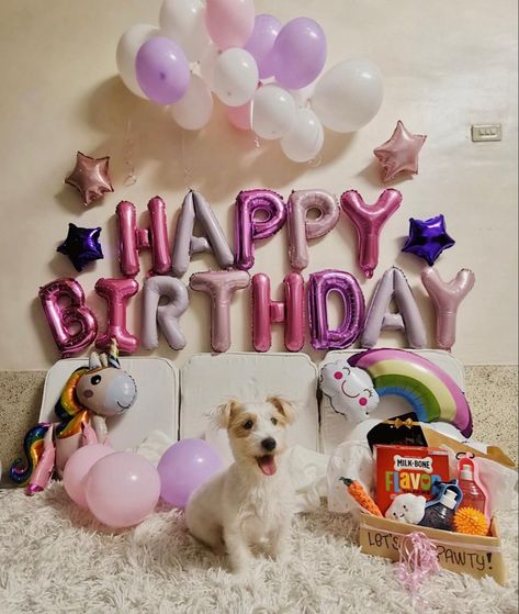 Celebrating our furbaby’s first birthday! #dogparty #barkday #birthday #dog Dog Birthday Decorations, Happy Barkday, Celebrating Birthday, Melting Moments, Dog Pool, Birthday Dog, Dog Birthday Party, Happy Tails, Dog Party