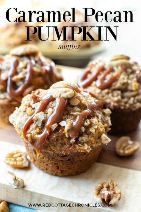 Bakery Style Caramel Pecan Pumpkin Muffins #PumpkinWeek #ad Pecan Pumpkin, Mini Pumpkin Cheesecake, Pecan Muffins, Savory Pumpkin Recipes, Oatmeal Cream Pies, Cooking Pumpkin, Pumpkin Pudding, Black Farmhouse, Painting Skills