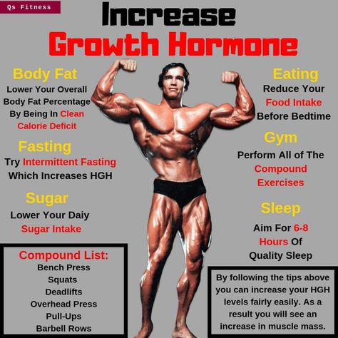 How To Increase Growth Hormone, How To Grow Taller Faster, Growth Hormone Increase, How To Grow Taller For Teens, Workout Obliques, Arnold Training, Arnold Gym, Arnold Schwarzenegger Gym, Obliques Workout